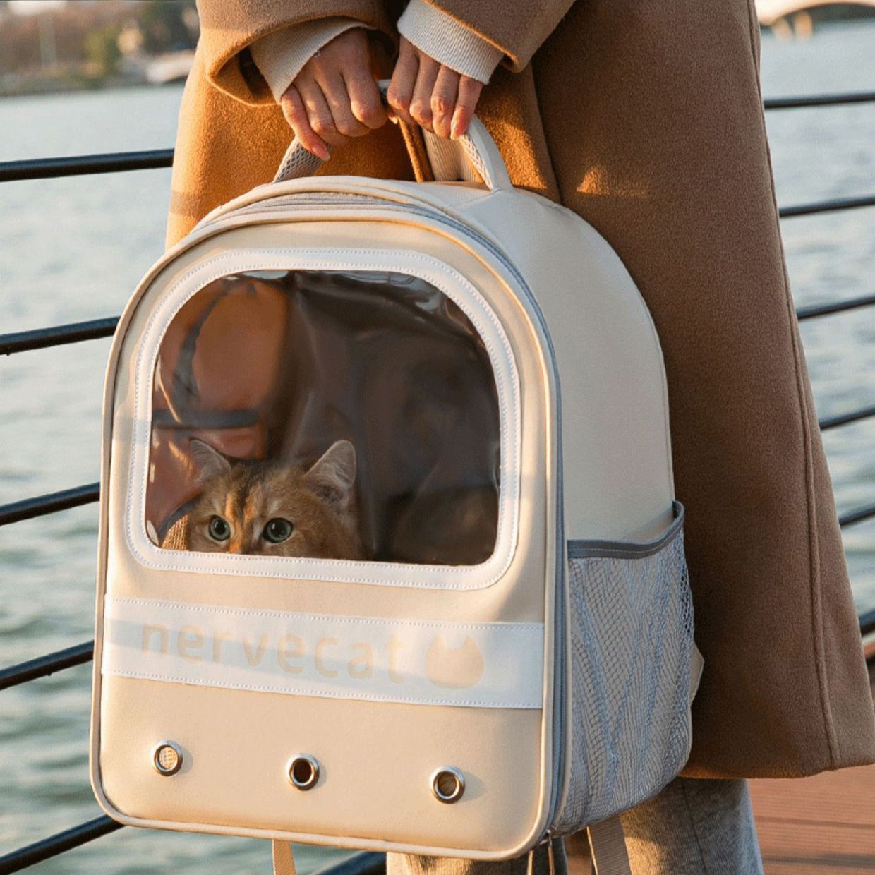 Pet Dog Cat Airline Approved Travel Carrier Backpack Bag