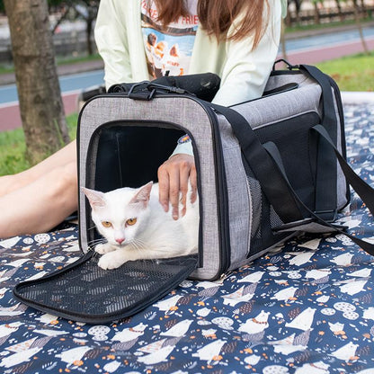 Pet carrier outing travel dog cat puppy handbag breathable Car messenger bag