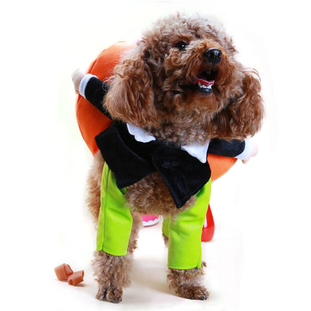 Dog Cat horse riding pumpkin Guitarist Costume Cosplay Dress Funny Pets