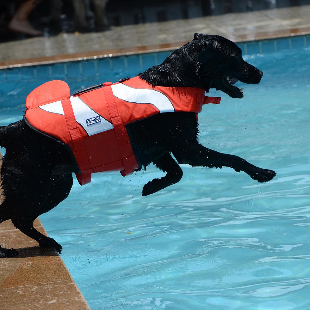 Dog Puppy Life Jacket Pet Lifesaver Swimwear